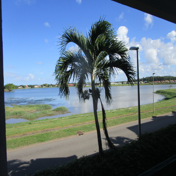 Offres de vente Appartement Kourou 97310
