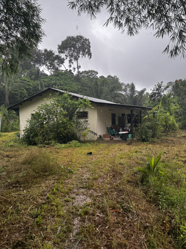 Offres de location Maison Kourou 97310